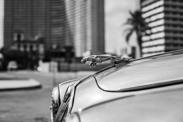 Casino Golden Reels Android/iOS rakendus